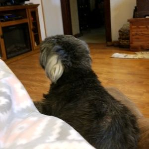 Meet your Posher, Tracey